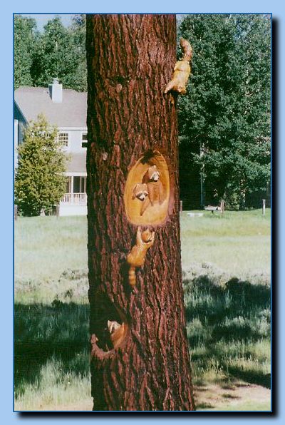 2-10 raccoons carved into tree stump-archive-0004